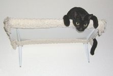 Black cat hanging off a shelf Funny cat picture