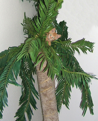 orange kitten playing in plastic palm tree