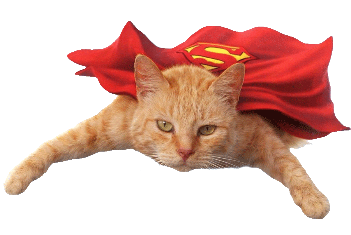 Superkitty flying like a kite